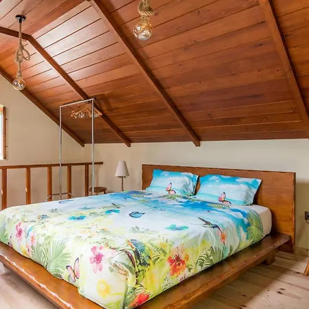 Guesthouse-theview (adults Only)