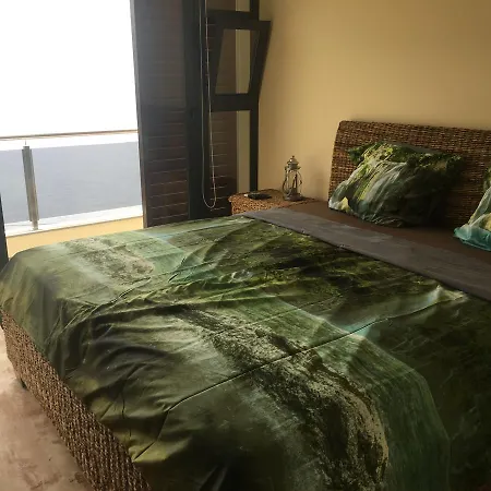 Guesthouse-theview (adults Only) Πανσιόν Ribeira Brava