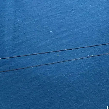 Guesthouse-theview (adults Only) Ribeira Brava